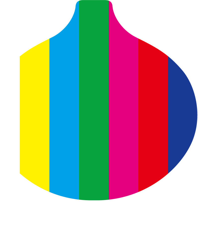 VEO logo